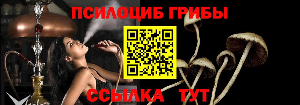цена   Вход с VPN  Урюпинск  Псилоцибиновые грибы MAGIC MUSHROOMS 